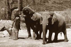 152.jpg (193623 bytes)